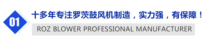 羅茨風機配件