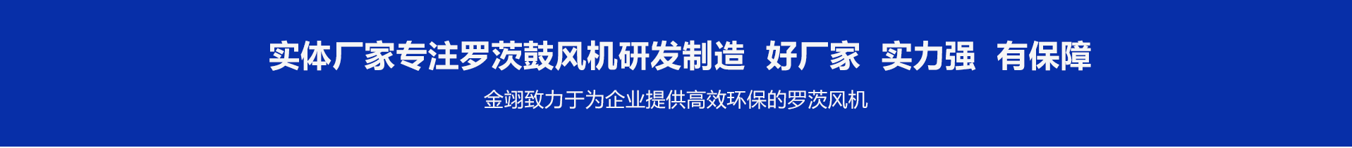 羅茨風機廠